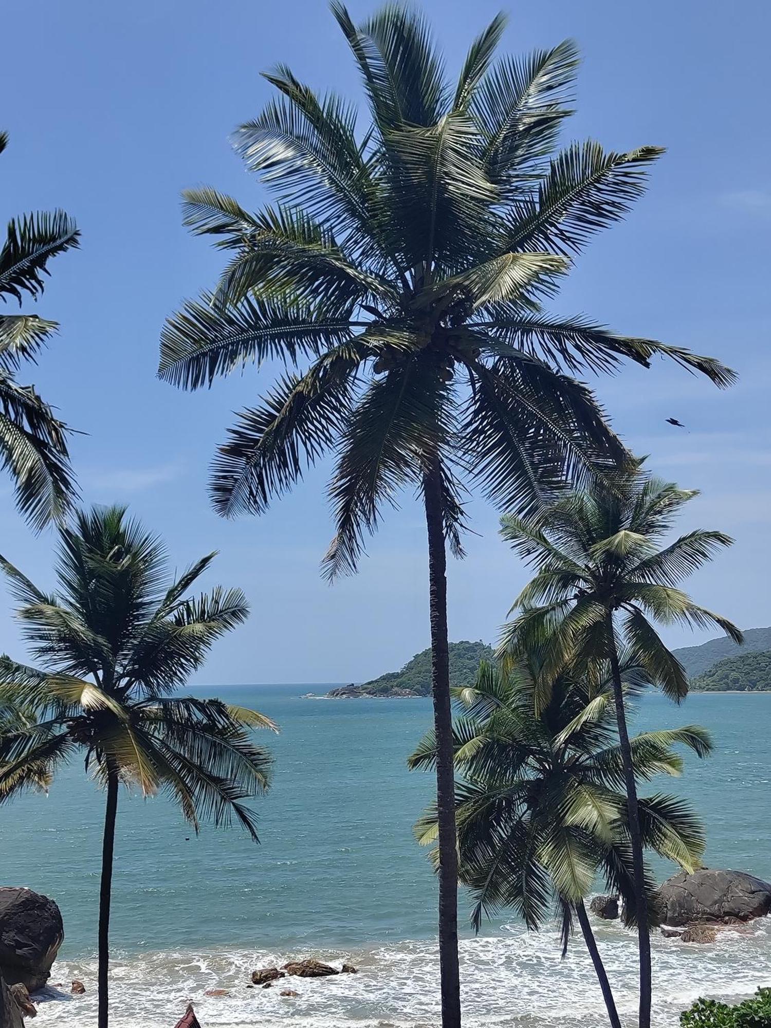 Hilltop Seaview Palolem Goa Hotel ภายนอก รูปภาพ