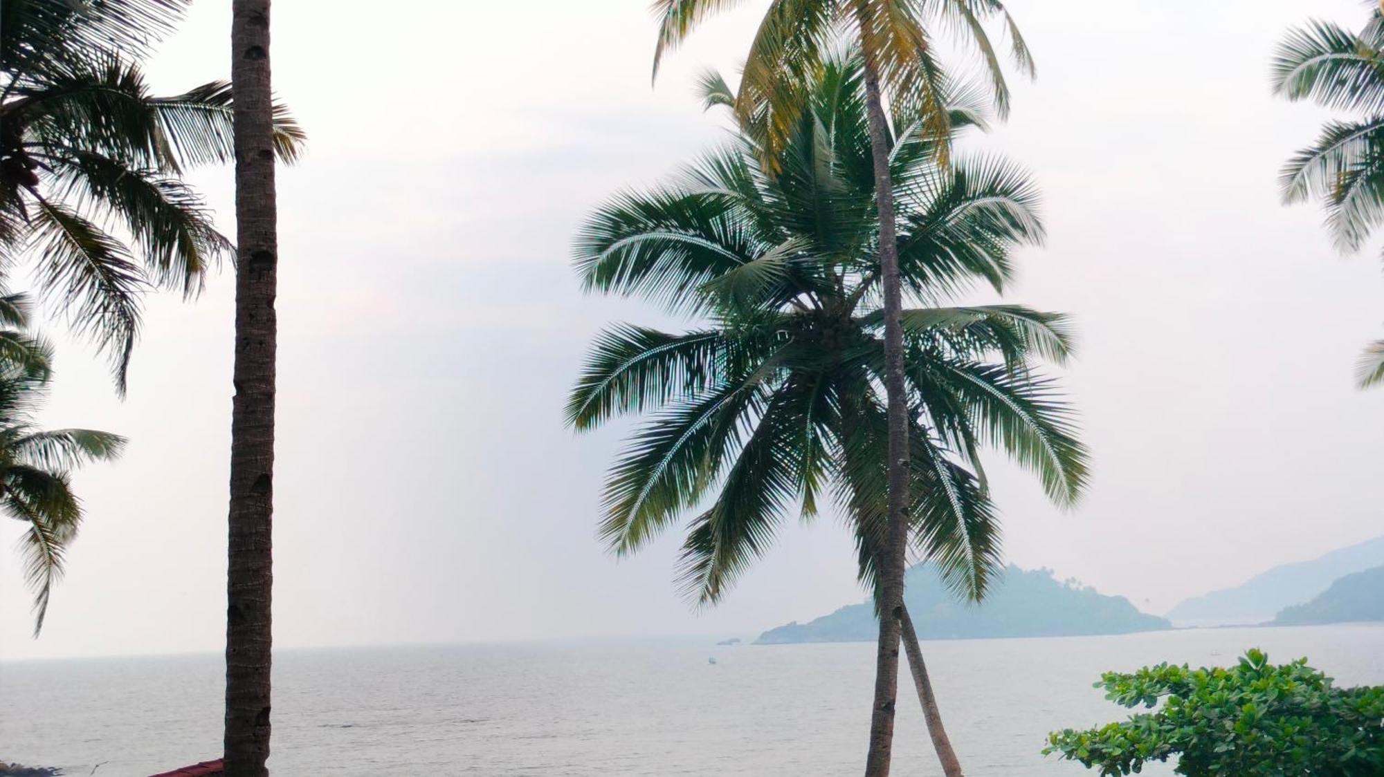 Hilltop Seaview Palolem Goa Hotel ห้อง รูปภาพ